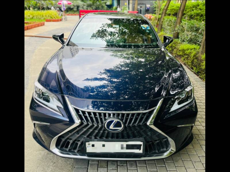 Lexus ES 300h Exquisite