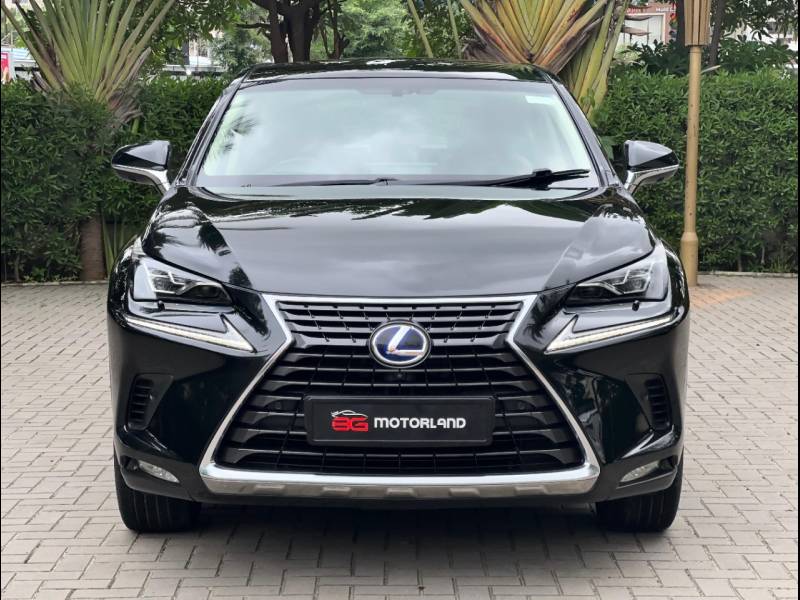 Lexus NX 300h Luxury