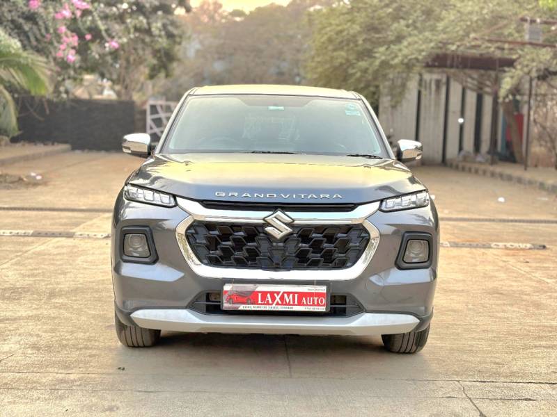 Maruti Suzuki Grand Vitara Delta CNG
