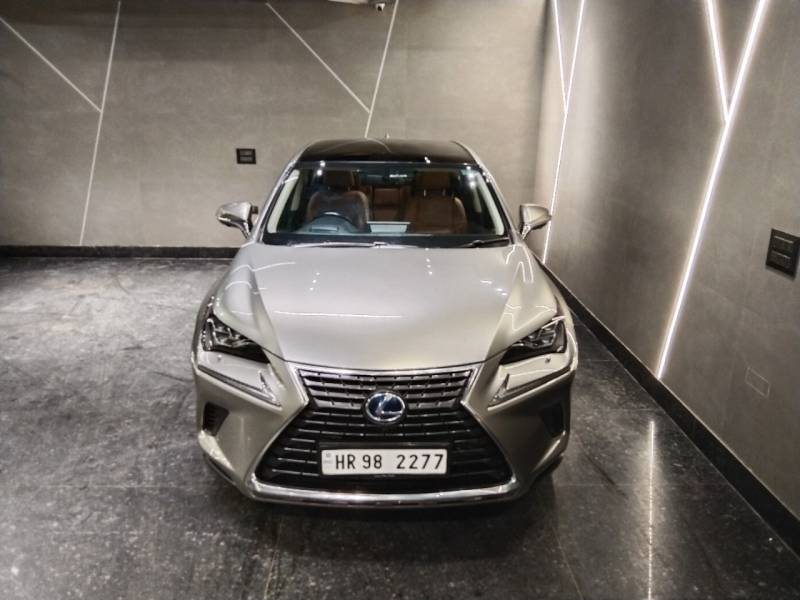 Lexus NX 300h Exquisite